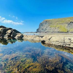 ein Wasserkörper neben einem Sandstrand in der Unterkunft The Haven a quiet countryside retreat in Bude