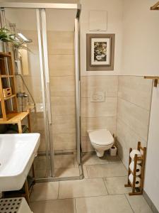 a bathroom with a shower and a toilet and a sink at Grünseeappartement in Turracher Hohe