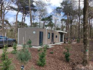 ein winziges Haus im Wald mit einem Auto in der Unterkunft Natuurhuisje Hellendoorn in Haarle
