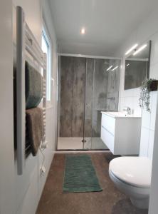 een badkamer met een douche, een toilet en een wastafel bij Natuurhuisje Hellendoorn in Haarle