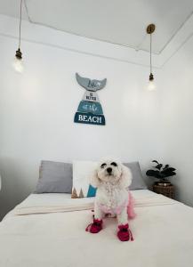 Imagen de la galería de StayNest Matabungkay - Private Vacation House, en Lian