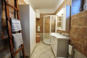 a bathroom with a sink and a toilet and a shower at Barbara`s Village House in Ilirska Bistrica