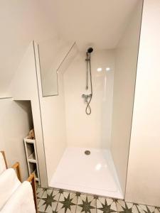 a small bathroom with a shower in the ceiling at House Of Harry - horská chata in Liberec