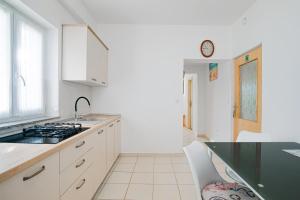 Kuchyňa alebo kuchynka v ubytovaní Apartment TODOR + 14 fotografií