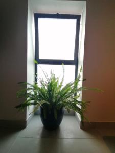 Fotografie z fotogalerie ubytování Casa do Favinha v destinaci Machico