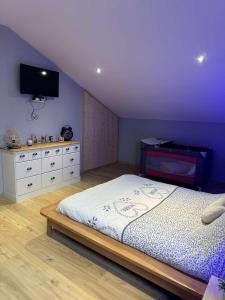 a bedroom with a bed and a flat screen tv at Gîte du Bambi in Gerbamont 