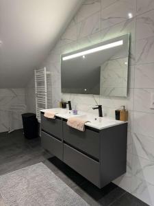 a bathroom with a sink and a large mirror at Gîte du Bambi in Gerbamont  +30 photos