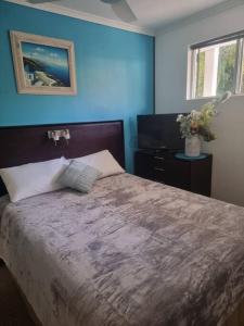a bedroom with a large bed with blue walls at Your Coral Coast Resort Inn in Palm Cove +15 photos
