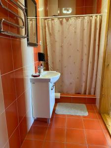 ein Bad mit einem Waschbecken und einem Duschvorhang in der Unterkunft Mini-Hotel "Nord" in Chynadiyovo
