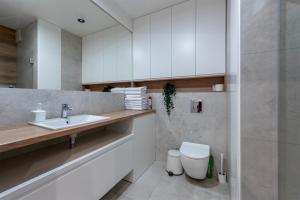 ein Bad mit einem Waschbecken und einem WC in der Unterkunft Very Stylish&Secure Penthouse -Free Parking in Łódź