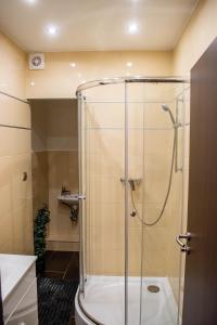 La salle de bains est pourvue d'une douche avec une porte en verre. dans l'établissement Garden Apartments, à Szeged