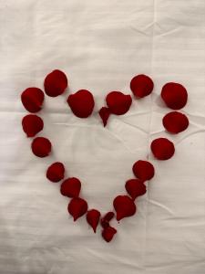 un cuore fatto di rose rosse su un letto di Elysium Old Square, Free street parking within the limits of available spaces and paid parking one minute away, Smart TV a Bucarest