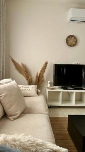 a living room with a couch and a tv at Anerada Cottages in Apsiou