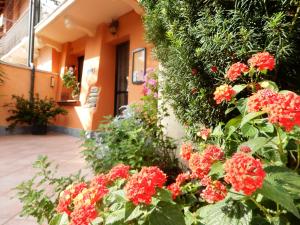 Zahrada ubytování Bed&Breakfast La Siepe