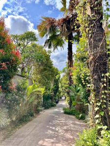un camino de tierra con palmeras y plantas. en Karuna Uppala Villa Umalas en Canggu