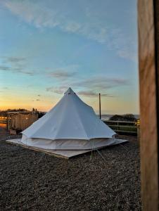 uma tenda branca sentada no chão num campo em Top pen y parc farm bell tent em Halkyn