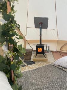 a stove in a room with some plants at Top pen y parc farm bell tent in Halkyn