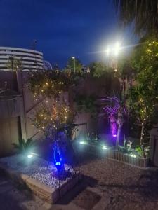 - un jardin la nuit avec des lumières sur un bâtiment dans l'établissement Appartement cap d agde, au Cap d'Agde