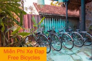 um grupo de bicicletas estacionadas em frente a um edifício em Phong Nha Memory Homestay em Phong Nha