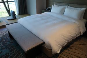 Fotografie z fotogalerie ubytování L+Snow Supreme Hotel v Šanghaji