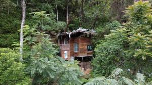 a wooden house in the middle of a forest at Tree House Rangala in Hunnasgiriya