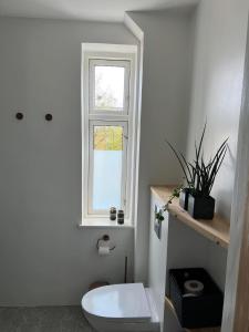 a white bathroom with a toilet and a window at Cozy Villa-Apartment - Close to Aalborg center - Free citybikes and parking in Aalborg