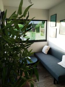 a living room with a couch and a plant at KaZielnik in Kazimierz Dolny