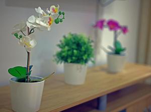 Fotografie z fotogalerie ubytování Hotel La Casa Blanca v destinaci Tetuán