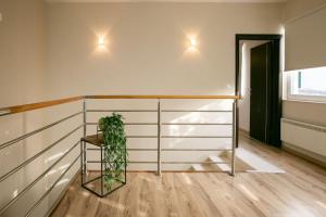 Fotografie z fotogalerie ubytování Villa Kora - luxury holiday Apartments v destinaci Lumbarda