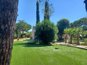 un parc avec un banc dans l'herbe planté de palmiers dans l'établissement villa serignan, à Sérignan
