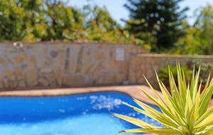une plante installée à côté d'une piscine bleue dans l'établissement The Gentle Villa, à Nerja
