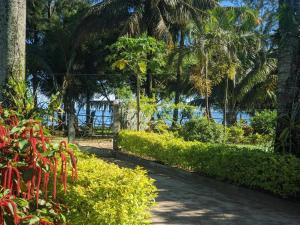 a garden with palm trees and a walkway at One bedroom house at Foulpointe Madagascar 10 m away from the beach with sea view enclosed garden and wifi in Foulpointe