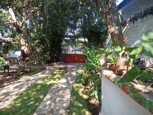 un patio con una valla y un árbol y césped en Loft-Departamento encantador con estacionamiento, en San Andrés Tuxtla