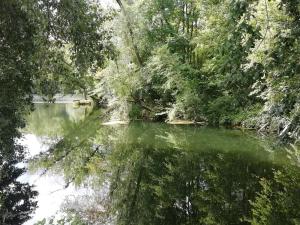 een waterlichaam in een bos met bomen bij Studio au coeur de la vallée de la Loire in Azay-sur-Cher
