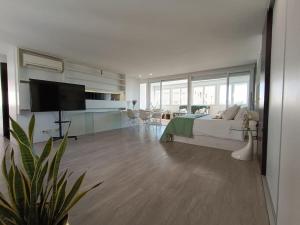a large living room with a bed and a television at Spacious Studio by the University in San Vicente del Raspeig