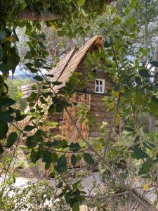 a log cabin in the woods through the trees at Mas Del Flor in Villelongue-dels-Monts