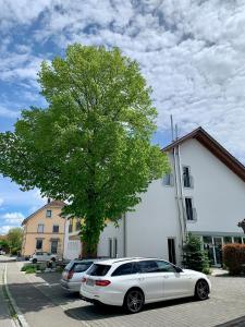 un coche blanco aparcado en un estacionamiento junto a un árbol en Gästehaus GN8, en Rielasingen-Worblingen