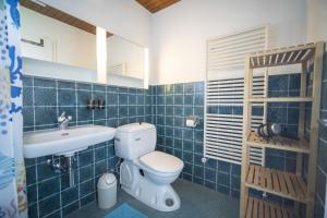 シュクオルにあるFeriensiedlung Trü 18の青いタイル張りのバスルーム(トイレ、シンク付)