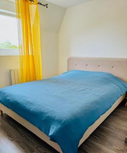1 cama con manta azul y ventana en Maison de charme à 5 min de Disney Paris, en Villeneuve-Saint-Denis