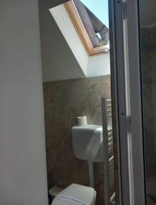 a bathroom with a sink and a toilet with a skylight at La Lacuri in Sovata +42 photos