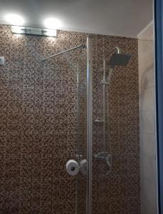 uma casa de banho com um chuveiro e uma porta de vidro em La Lacuri em Sovata