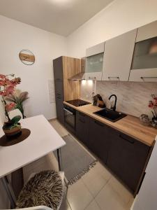 Kuchyňa alebo kuchynka v ubytovaní Apartman Valeria