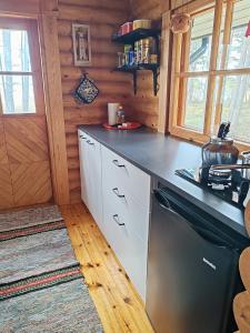 a kitchen in a log cabin with a stove at Velkuanmaa Lomamökki in Naantali