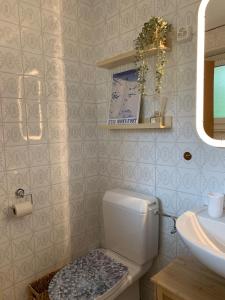 ein Bad mit einem WC und einem Waschbecken in der Unterkunft Le Tortin - studio centré et calme - 2 personnes in Nendaz