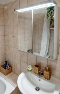 a bathroom with a sink and a mirror at Cosy apartment Zugló next to Puskás Aréna in Budapest