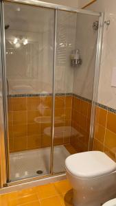 a bathroom with a shower with a toilet at villa verde sul mare in Vietri sul Mare