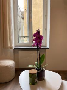 a purple flower sitting on a table in front of a window at La maison douce in Lons-le-Saunier