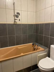 a bathroom with a tub and a toilet at La maison douce in Lons-le-Saunier