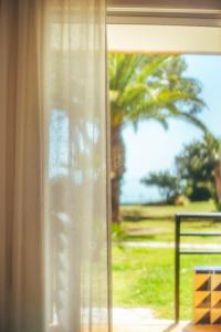Vonkajšia záhrada v ubytovaní Apartamento HORIZON PARADISE - Primera linea de playa