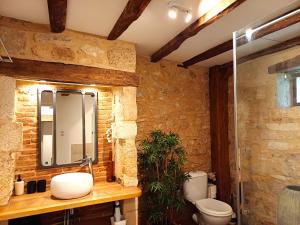 a bathroom with a sink and a toilet and a mirror at Au Pied du CHÂTEAU - 5 à 11 personnes - Baignade-canoë-piste cyclable à 100 m in Castelnaud La Chapelle +70 photos